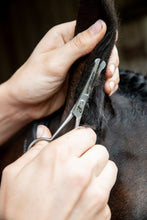 Load image into Gallery viewer, Smart Grooming 4.5" Safety Scissors