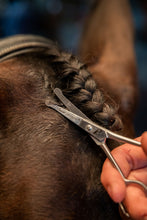 Load image into Gallery viewer, Smart Grooming 4.5" Safety Scissors