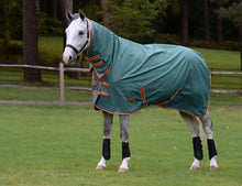 Load image into Gallery viewer, WeatherBeeta ComFiTec Tyro Combo Neck Medium Turnout 200g