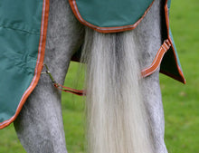 Load image into Gallery viewer, WeatherBeeta ComFiTec Tyro Combo Neck Medium Turnout 200g