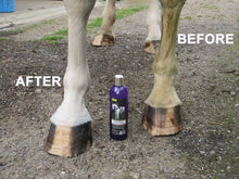 Load image into Gallery viewer, Smart Grooming Deep Purple Whitening Shampoo 500ml