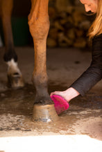 Load image into Gallery viewer, Smart Grooming Super Groomer Deluxe Edition