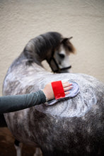 Load image into Gallery viewer, Smart Grooming Super Groomer Deluxe Edition