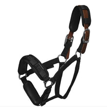 Load image into Gallery viewer, ThinLine Padded Halter Liners / Bridle Wraps 3 Piece Set
