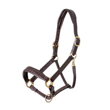 Load image into Gallery viewer, Shires Velociti GARA Leather Travel Headcollar Havana