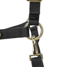 Load image into Gallery viewer, Shires Topaz Nylon Headcollar Black