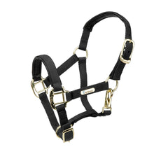 Load image into Gallery viewer, Shires Topaz Nylon Headcollar Black