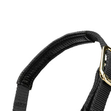 Load image into Gallery viewer, Shires Topaz Nylon Headcollar Black