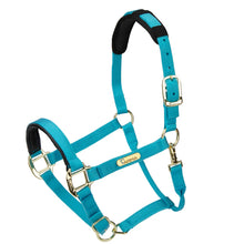 Load image into Gallery viewer, Shires Topaz Nylon Headcollar Blue