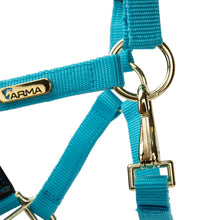 Load image into Gallery viewer, Shires Topaz Nylon Headcollar Blue