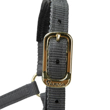 Load image into Gallery viewer, Shires Topaz Nylon Headcollar Grey