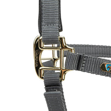 Load image into Gallery viewer, Shires Topaz Nylon Headcollar Grey