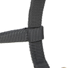 Load image into Gallery viewer, Shires Topaz Nylon Headcollar Grey