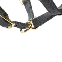 Load image into Gallery viewer, Shires Topaz Nylon Headcollar Grey