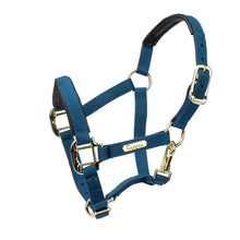 Load image into Gallery viewer, Shires Topaz Nylon Headcollar Navy