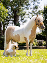 Load image into Gallery viewer, LeMieux Toy Pony Lemon