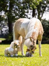 Load image into Gallery viewer, LeMieux Toy Pony Lemon