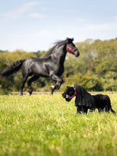 Load image into Gallery viewer, LeMieux Toy Pony Spike
