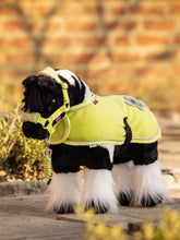 Load image into Gallery viewer, LeMieux Toy Pony Razzle