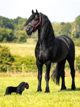 Load image into Gallery viewer, LeMieux Toy Pony Spike