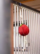 Load image into Gallery viewer, LeMieux Horse Toy Apple