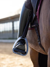 Load image into Gallery viewer, LeMieux Vector Balance Stirrups Carbon/Silver