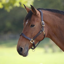 Load image into Gallery viewer, Shires Velociti Lusso Lorca Leather Headcollar