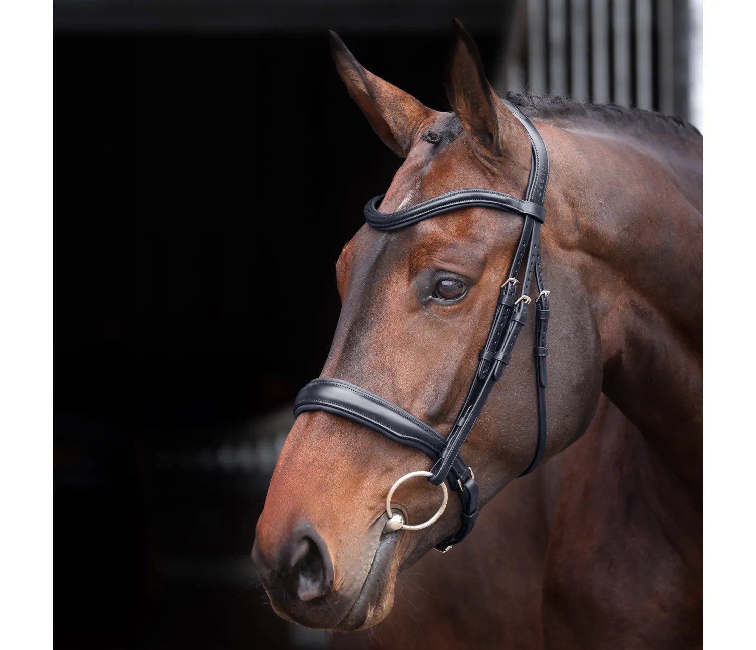 Harnais Cheval Ergonomique Bride Cheval Shires Velociti Hunter - Cavesson Noir, Taille Cob Bride équestre