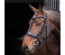 Load image into Gallery viewer, Shires Velociti Lusso Elite Padded Cavesson Bridle