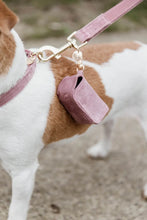 Load image into Gallery viewer, Kentucky Dogwear Velvet Poop Bag Square