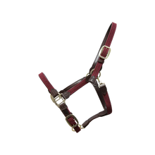 Load image into Gallery viewer, Kentucky Horsewear Plaited Nylon Halter Bordeaux

