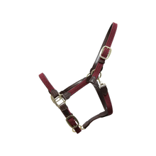 Load image into Gallery viewer, Kentucky Horsewear Plaited Nylon Halter Bordeaux&