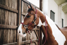 Load image into Gallery viewer, Kentucky Horsewear Plaited Nylon Halter Bordeaux&