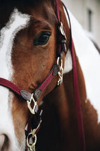 Load image into Gallery viewer, Kentucky Horsewear Plaited Nylon Halter Bordeaux&