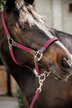Load image into Gallery viewer, Kentucky Horsewear Plaited Nylon Halter Bordeaux&