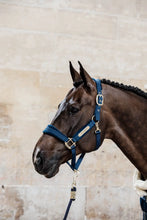 Load image into Gallery viewer, Kentucky Horsewear Leadrope Basic