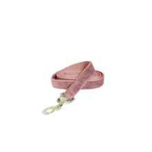 Load image into Gallery viewer, Kentucky Dogwear Velvet Lead
