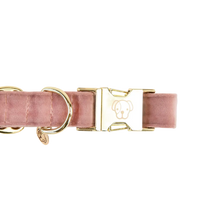 Load image into Gallery viewer, Kentucky Dogwear Velvet Collar