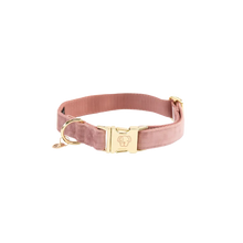 Load image into Gallery viewer, Kentucky Dogwear Velvet Collar
