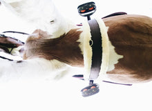 Load image into Gallery viewer, Kentucky Horsewear Sheepskin Girth Brown