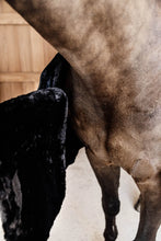 Load image into Gallery viewer, Kentucky Chest Expander Vegan Sheepskin 1 Buckle