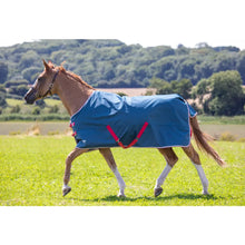 Load image into Gallery viewer, Shires Tempest Original Lite Turnout Rug Teal