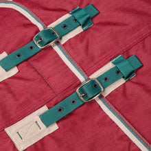 Load image into Gallery viewer, Shires Tempest Original 200 Turnout Rug Maroon