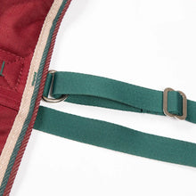 Load image into Gallery viewer, Shires Tempest Original 200 Turnout Rug Maroon