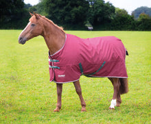 Load image into Gallery viewer, Shires Tempest Original 200 Turnout Rug Maroon