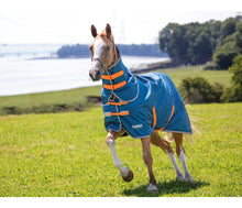 Load image into Gallery viewer, Shires Tempest Original Lite Turnout Rug & Neck Set Teal