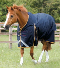 Load image into Gallery viewer, Premier Equine Buster 50g Original Turnout Rug Navy 6'6