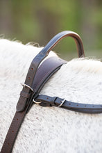 Load image into Gallery viewer, Correct Connect Double Neck Strap