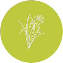 Load image into Gallery viewer, Ethos Smart Bedding - Citronella