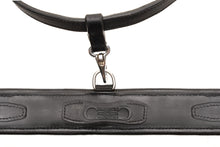 Load image into Gallery viewer, Correct Connect 3-in-1 Training Breastplate